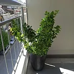 Apartamento Sodi Cozy Kardítsa