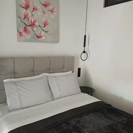 Sodi Cozy