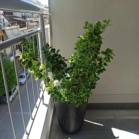 דירה Sodi Cozy קארדיצה