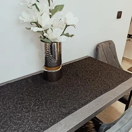 Sodi Cozy * 卡尔季察