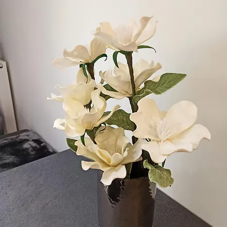 Sodi Cozy * 卡尔季察