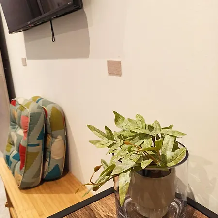 Sodi Cozy דירה קארדיצה