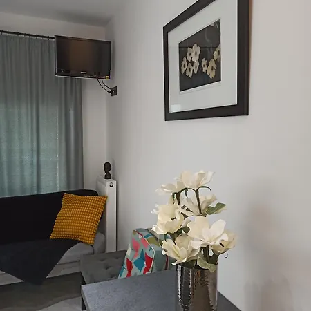 Sodi Cozy קארדיצה