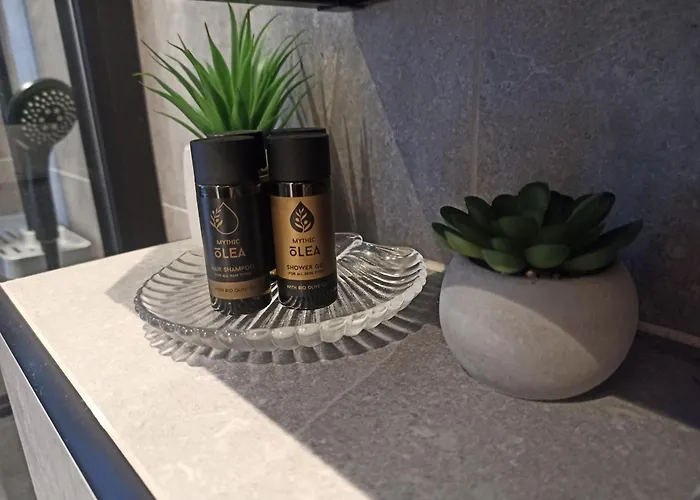 Sodi Cozy 卡尔季察