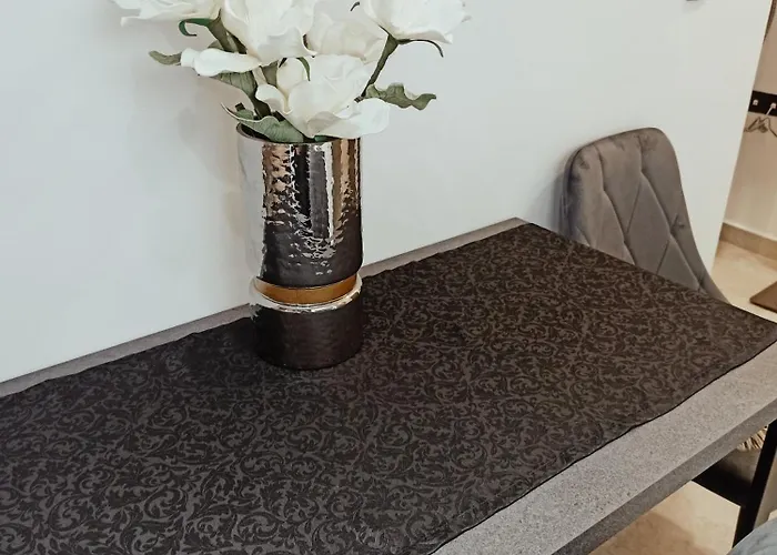 Sodi Cozy * 卡尔季察