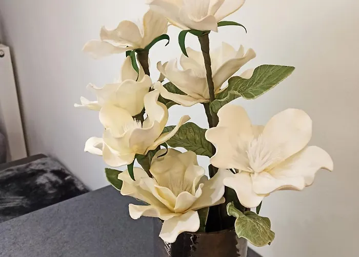 Sodi Cozy * 卡尔季察