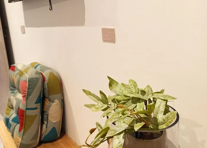 Sodi Cozy 公寓 卡尔季察