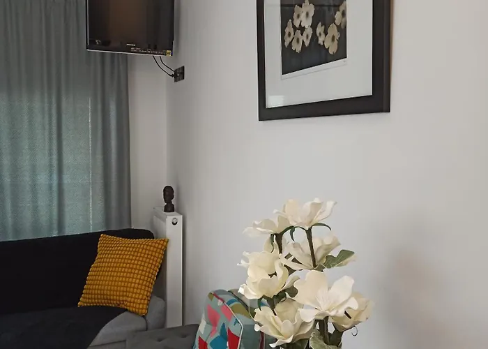 Sodi Cozy 卡尔季察